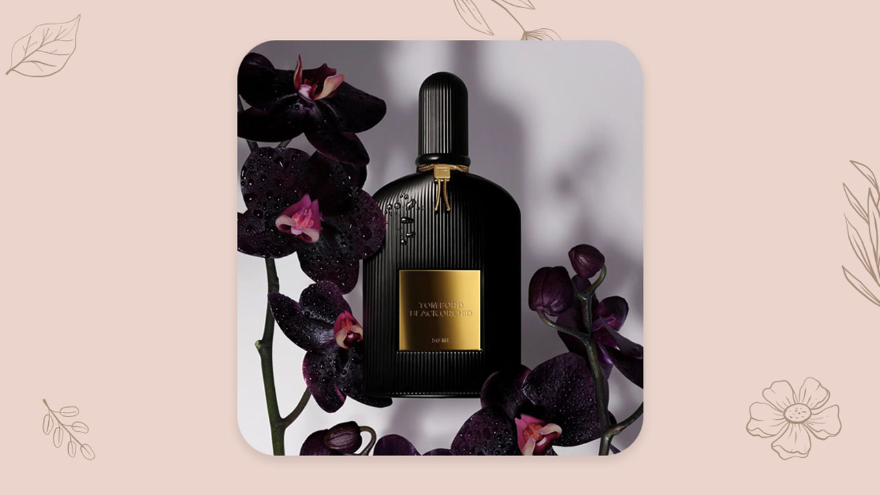 Tom Ford Black Orchid – Best for Warm, Sensual Scent