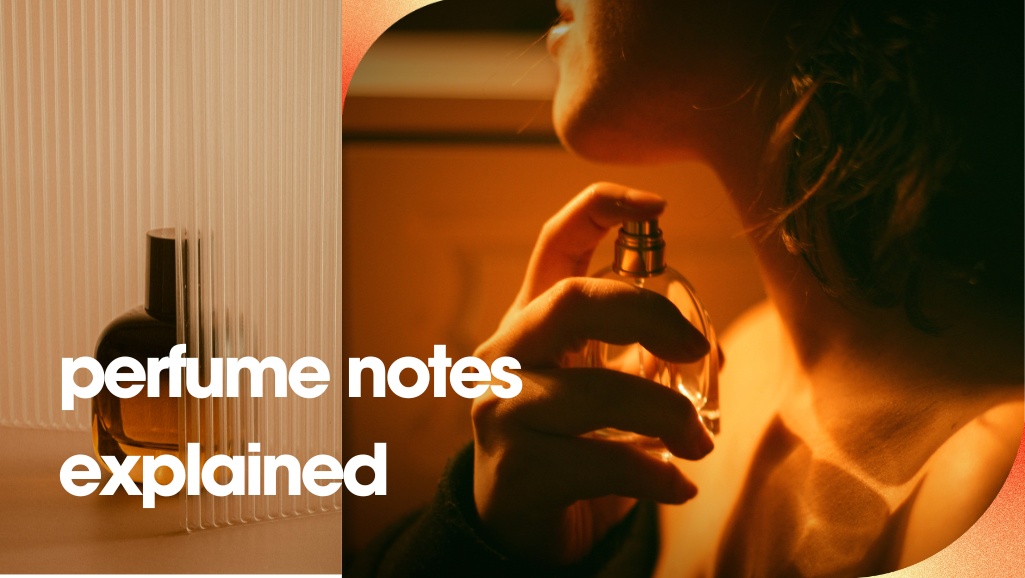 Perfume testing strips showing scent notes and families perfume notes explained